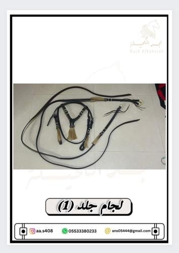 لجام جلد (1)