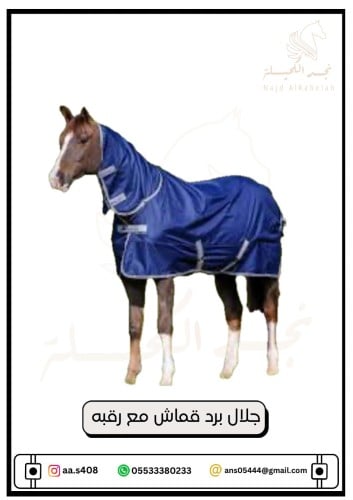 جلال برد قماش مع رقبه