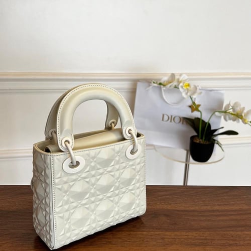 Lady Dior-17CM