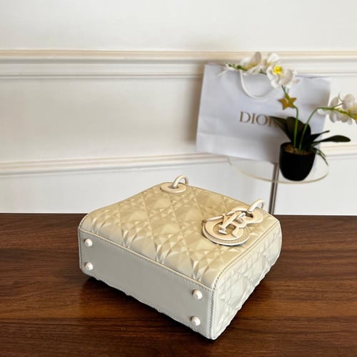 Lady Dior-17CM