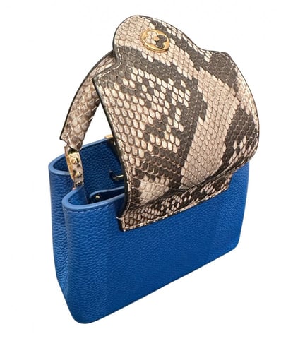 لويس فيتونا Louise Vuitton