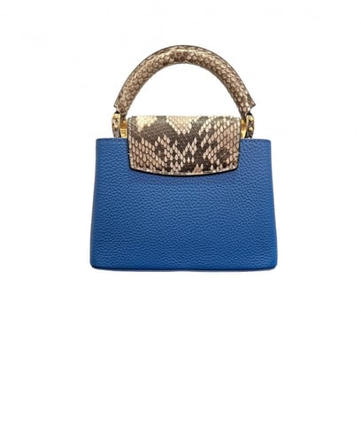 لويس فيتونا Louise Vuitton