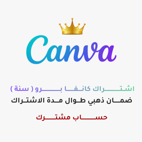 Canva Pro subscription for one year