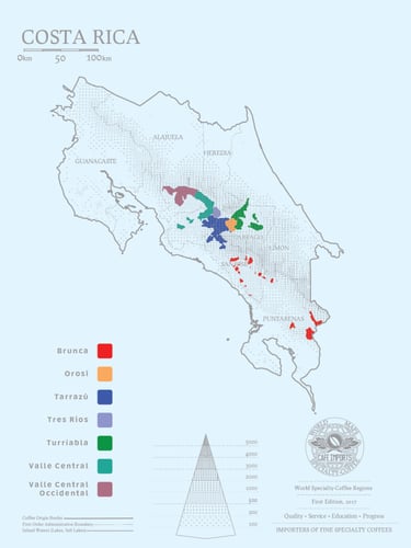 Costa Rica Lapacaya Coffee Beans 1 KG