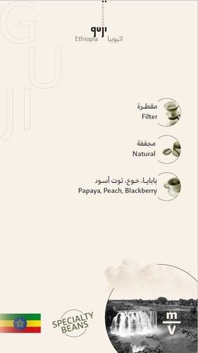 Ethiopia Guji Coffee Beans 1 KG