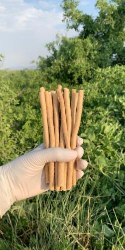 عرض 50 مسواك بطول 16 سـم اطول من جيب الثوب العلوي