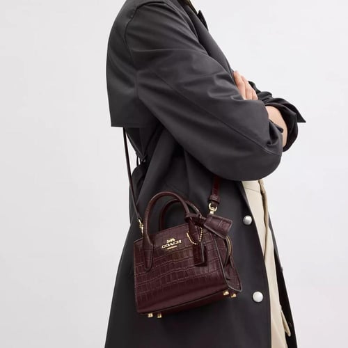 شنطة أندريا ميني | Andrea Mini Carryall Bag