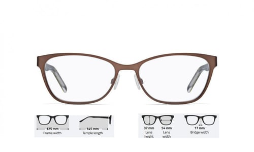 نظارة بوس HUG Boss 1008 HGC