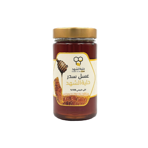 Honey Bee Hive - 500 grams