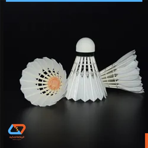 TRYON كرة الريشة رأس الفطر البلاستيك BT-110