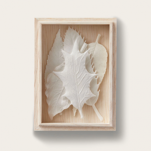 بخور الورق - الأبيض