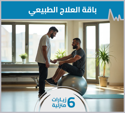 Physiotherapist Package - 6 Home Visits