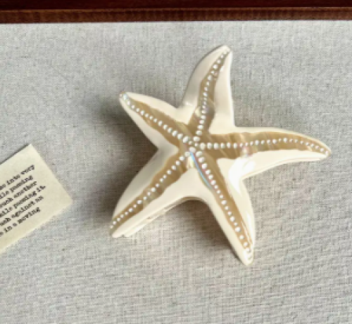 Star Fish Hair Clip