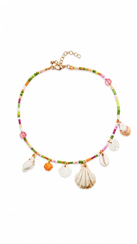 Sandy Shell