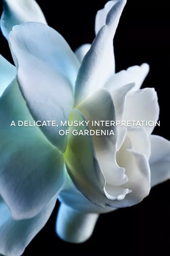 عطر جيرلان كرويل غاردينيا للجنسين 200مل