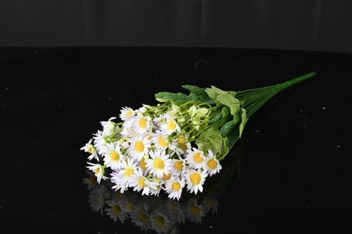 دوار شمس كبير