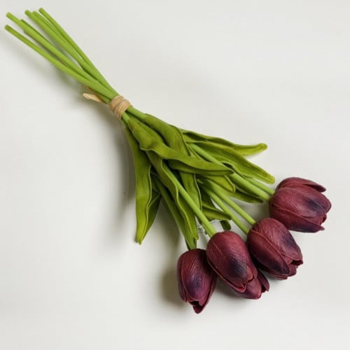 ورد توليب