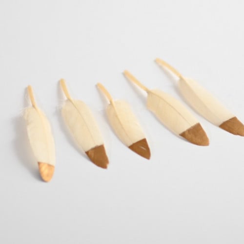 مجموعة (12) ريش سكري وذهبي للتزين