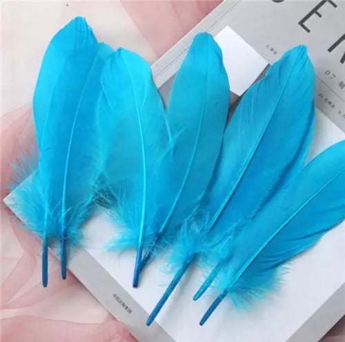 مجموعة (12) ريش ازرق للتزين