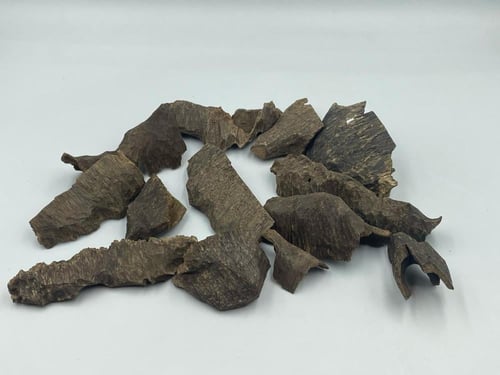 عود فتنامي سوبر مرتفع ودبل