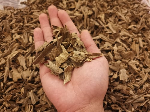 هندي نقلاند (موري)