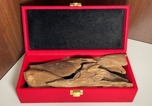 سيلاني جبلي دبل سوبر