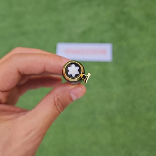 قلم مونت بلانك