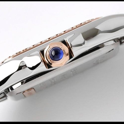 كارتير بانثر نسائية ماستر