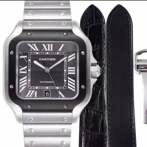 كارتير سانتوس ماستر