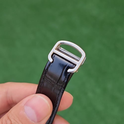 كارتيرسانتوس