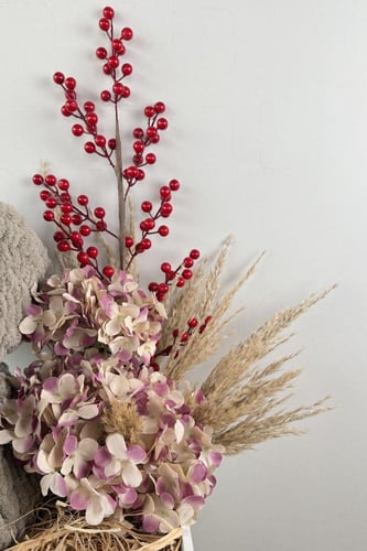 بوكس الشتاء