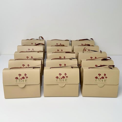 حقيبة توزيعات