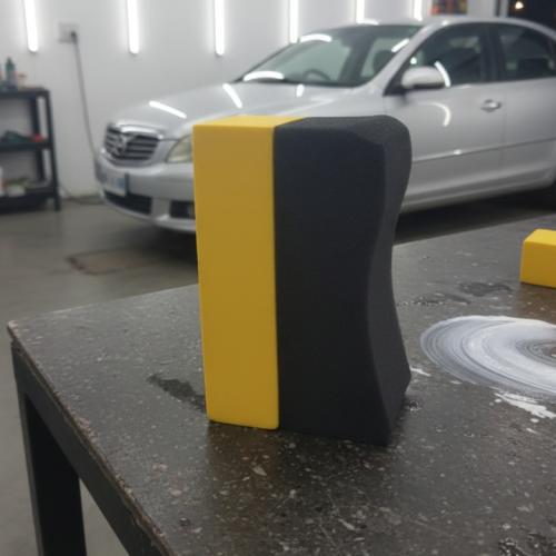 Polishing cushion with integrated sponge