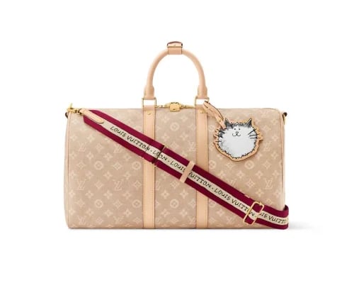 شنطة سفر يد لويس فيتون - Louis Vuitton carry-on tr...