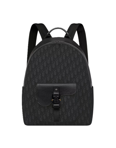 Dior backpack