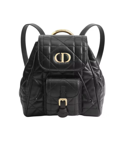 Dior backpack