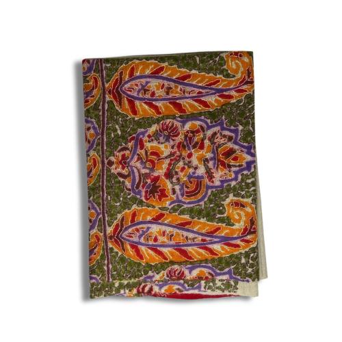 Bashmina pure hand embroidery full - medium