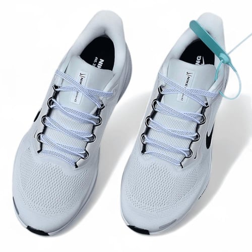 Pegasus 41