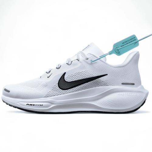 Pegasus 41