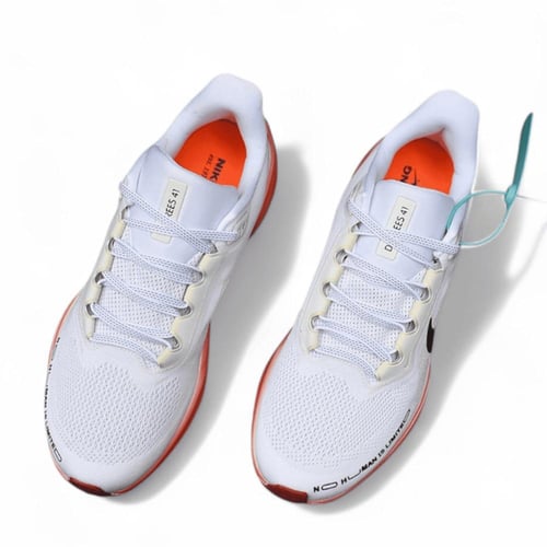 Pegasus 41