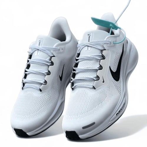 Pegasus 41
