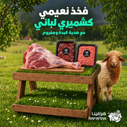 فخذ ربع نعيمي كشميري لباني