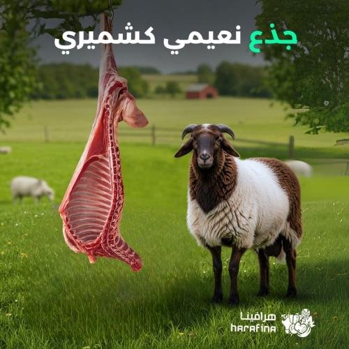 نعيمي كشميري جذع