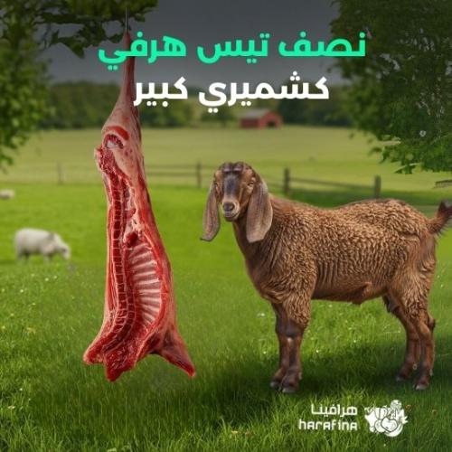 نصف تيس هرفي كشميري كبير