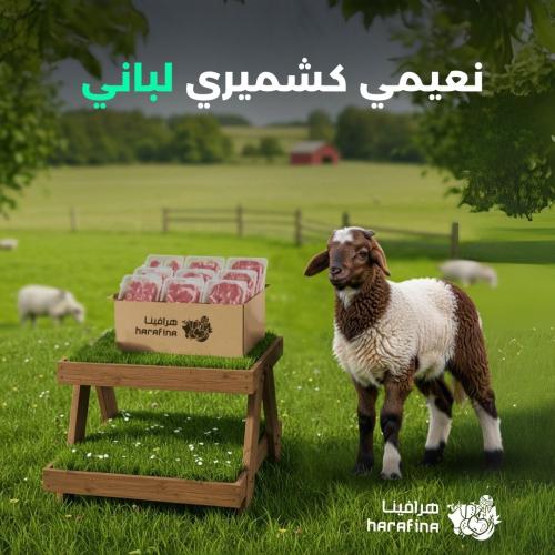 نعيمي كشميري لباني