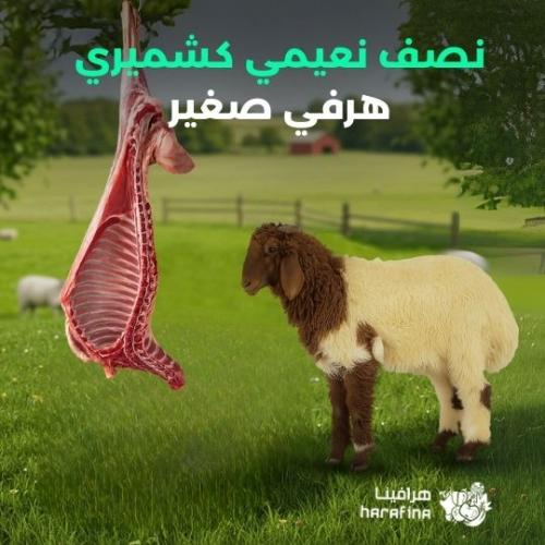 نصف نعيمي كشميري هرفي صغير