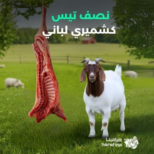 نصف تيس كشميري لباني