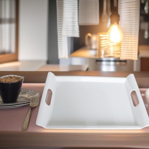 صحون الميلامين لتقديم الطعام A_3_2