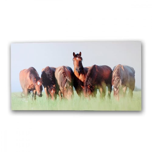 لوحة جدارية بتصميم أحصنة مقاس 120*60 سم