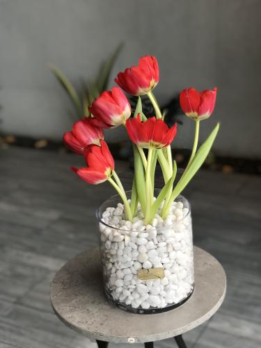 بوكيه توليب مع كيك لنش